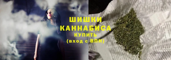 гидра Киреевск