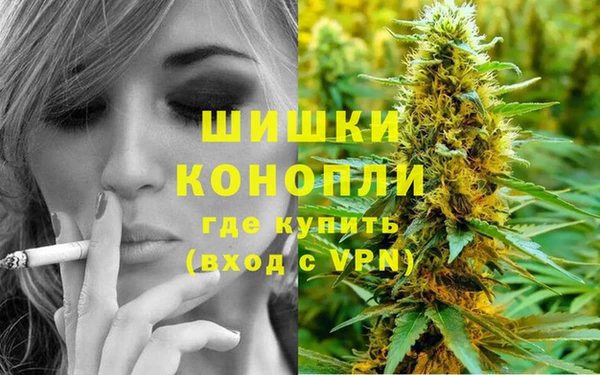 гидра Киреевск