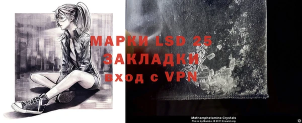 гидра Киреевск
